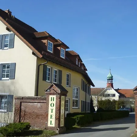 Gut Haidt