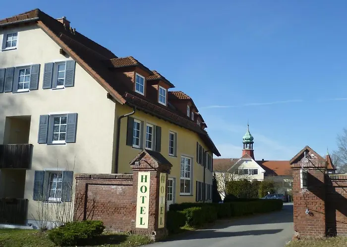 Gut Haidt